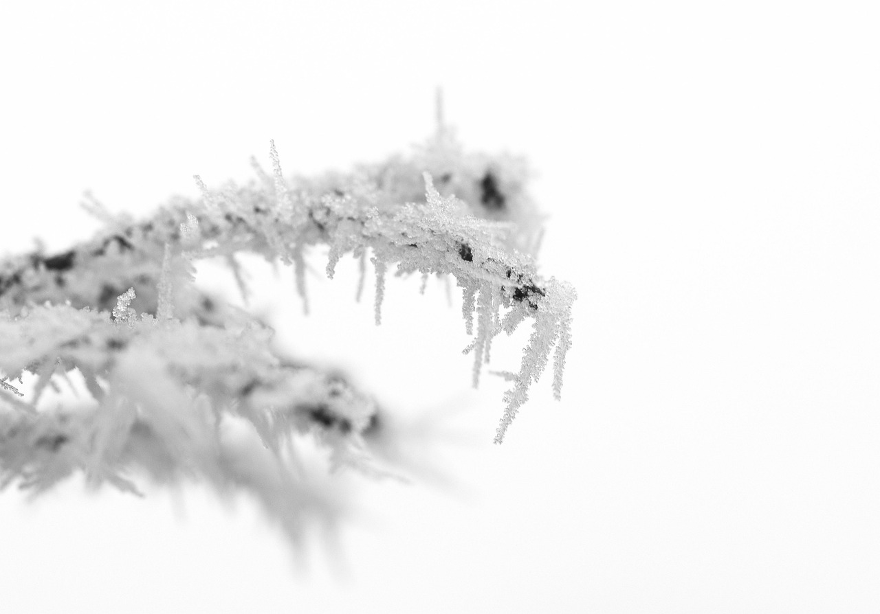 KRUHY – pro děti, mládež a jejich rodinu